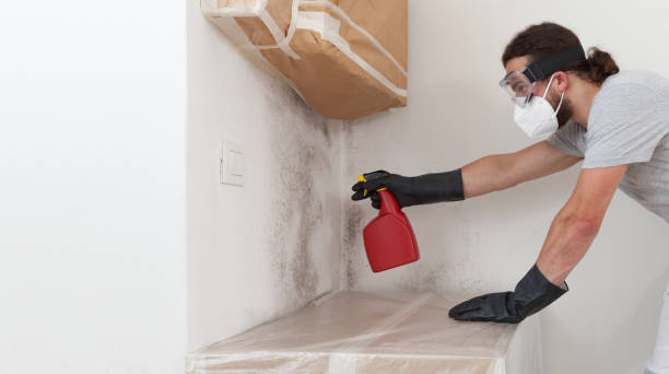 Professional Basement Mold Remediation technician working in Upperville, VA