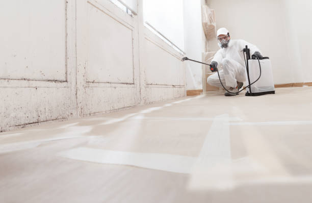 24/7 Emergency Basement Mold Remediation experts in Upperville, VA